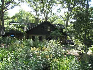 rear garden overview